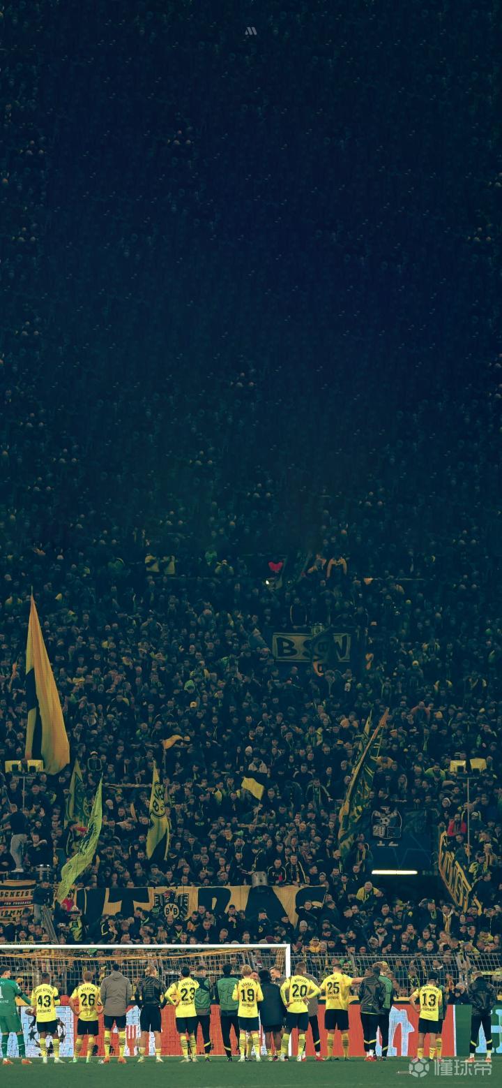 包含大黄蜂登陆主场，球迷热情高涨的词条