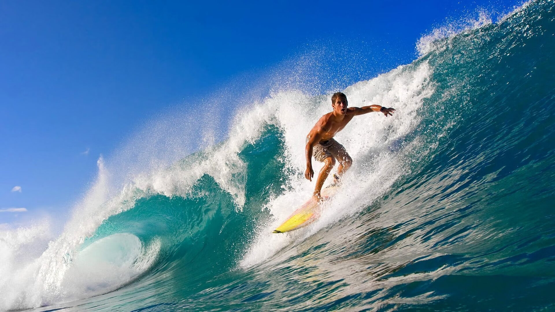 开云官网-从浙江到明尼苏达，两种压制背后的竞技哲学